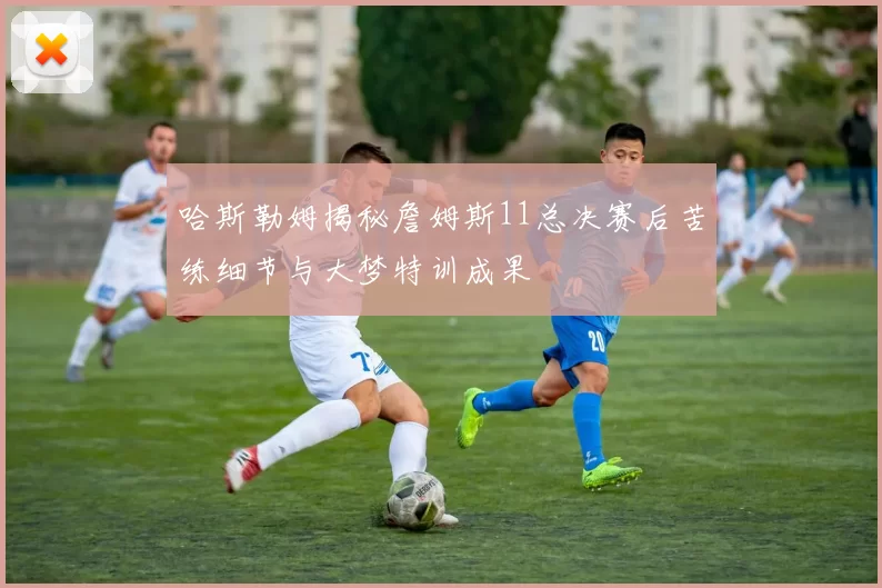 哈斯勒姆揭秘詹姆斯11总决赛后苦练细节与大梦特训成果