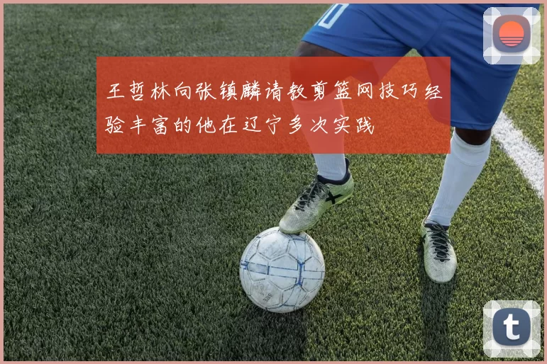 王哲林向张镇麟请教剪篮网技巧经验丰富的他在辽宁多次实践